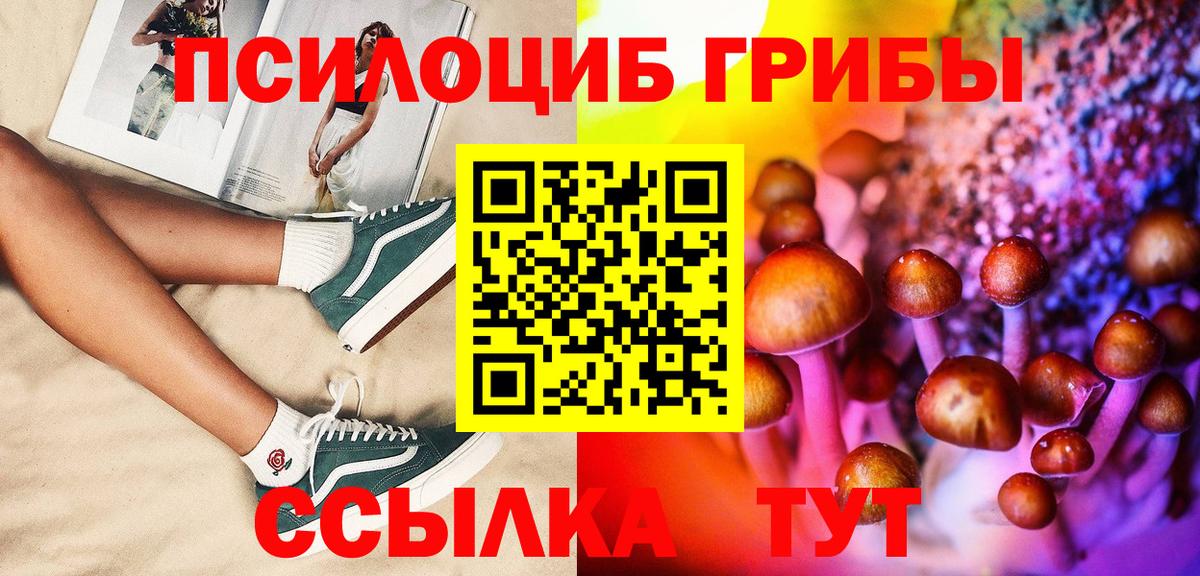 Зеленодольск  Псилоцибиновые грибы MAGIC MUSHROOMS  Вход с VPN 