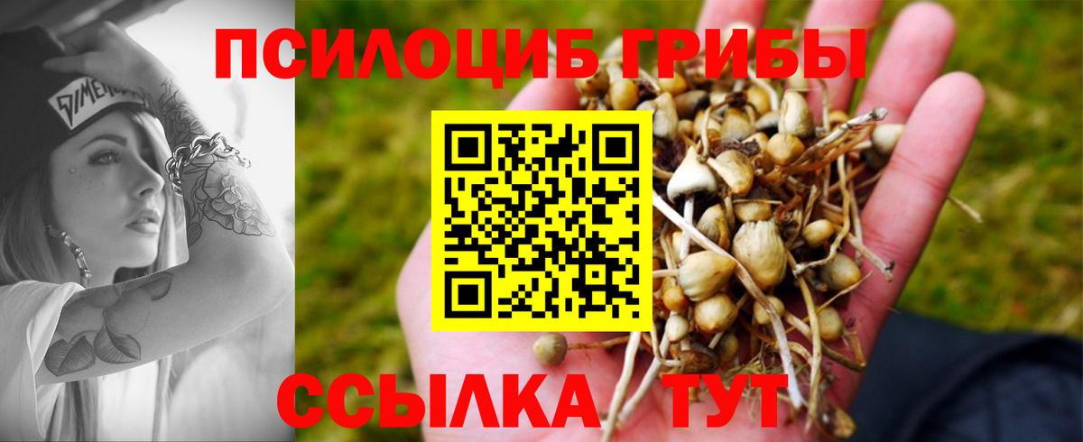 ЭКСТАЗИ Зеленодольск